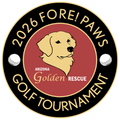 Fore Paws GT