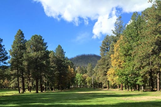 Alpine Country Club