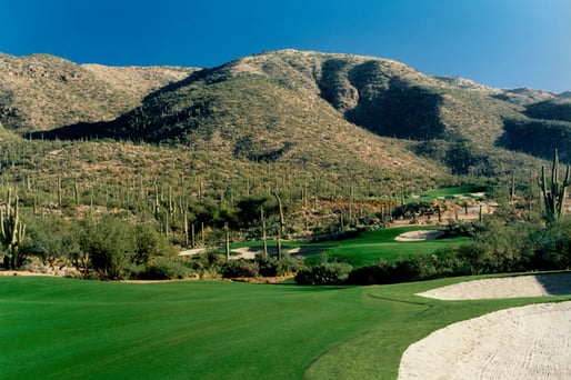 Arizona National Golf Club