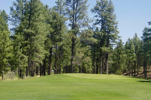 Bison Golf Club