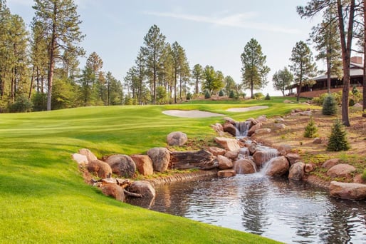 Chaparral Pines, Golf Club @
