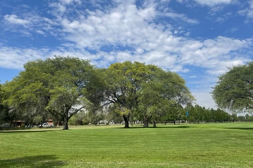 Club Campestre DE Cananea