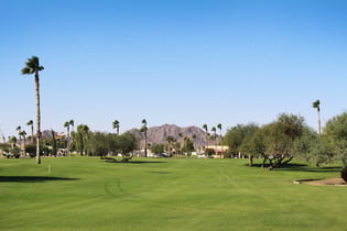Cocopah Golf Resort