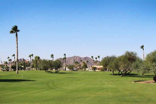 Cocopah Golf Resort