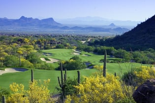 The Gallery Golf Club