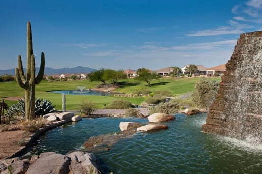 Highlands at Dove Mountain, The