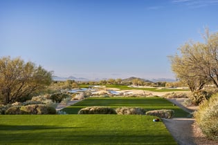 Mirabel Club, The