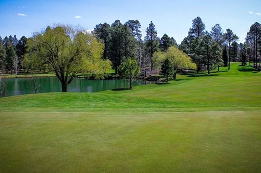 Pinetop Lakes Golf & Country Club