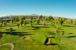 Toka Sticks Golf Club
