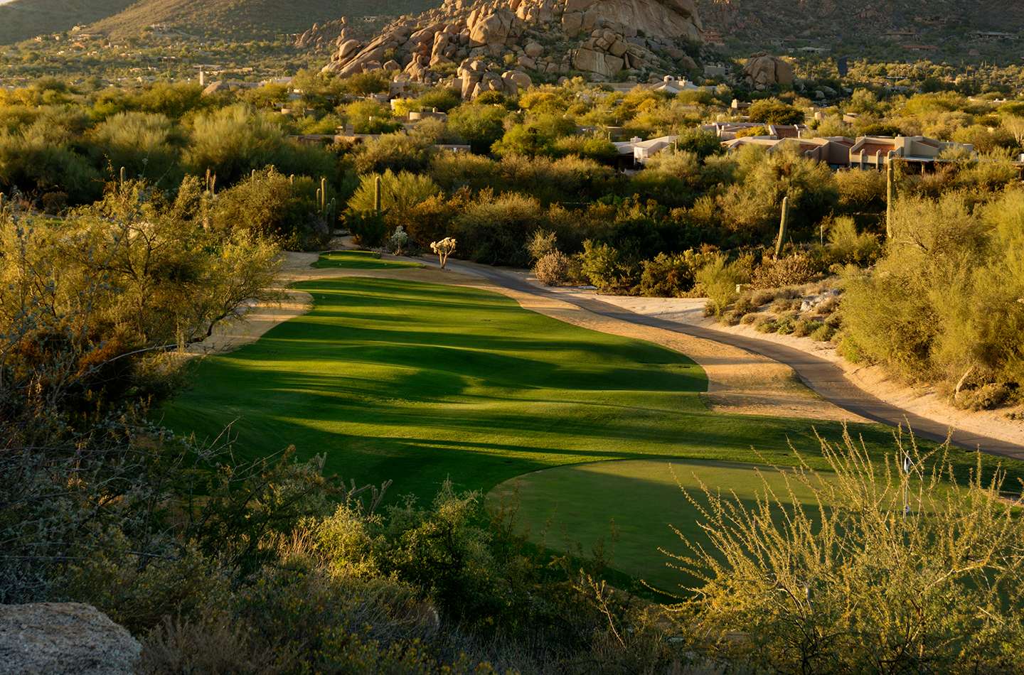 Twilight Series_Card