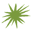 cactus-spines-fairway-B 1
