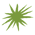 cactus-spines-fairway-B 1