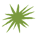 cactus-spines-fairway-B 1