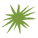 cactus-spines-fairway-B 1