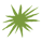 cactus-spines-fairway-B 1