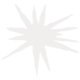 cactus-spines-fog-A 1