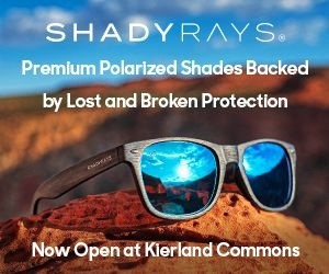 Shady Rays 300 x 250 Ad