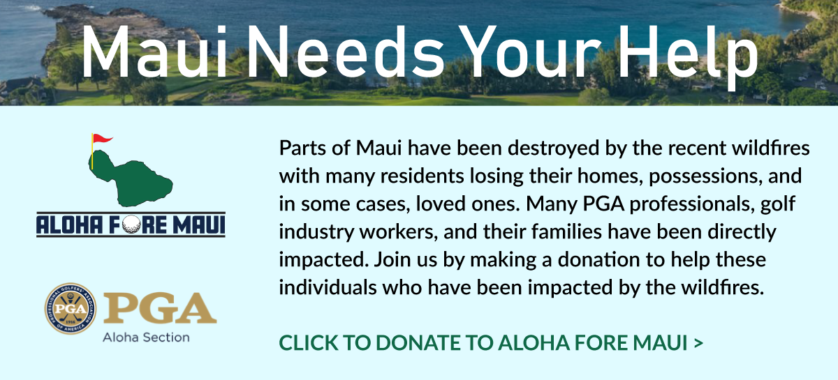 Maui-Needs-Your-Help-1200x545