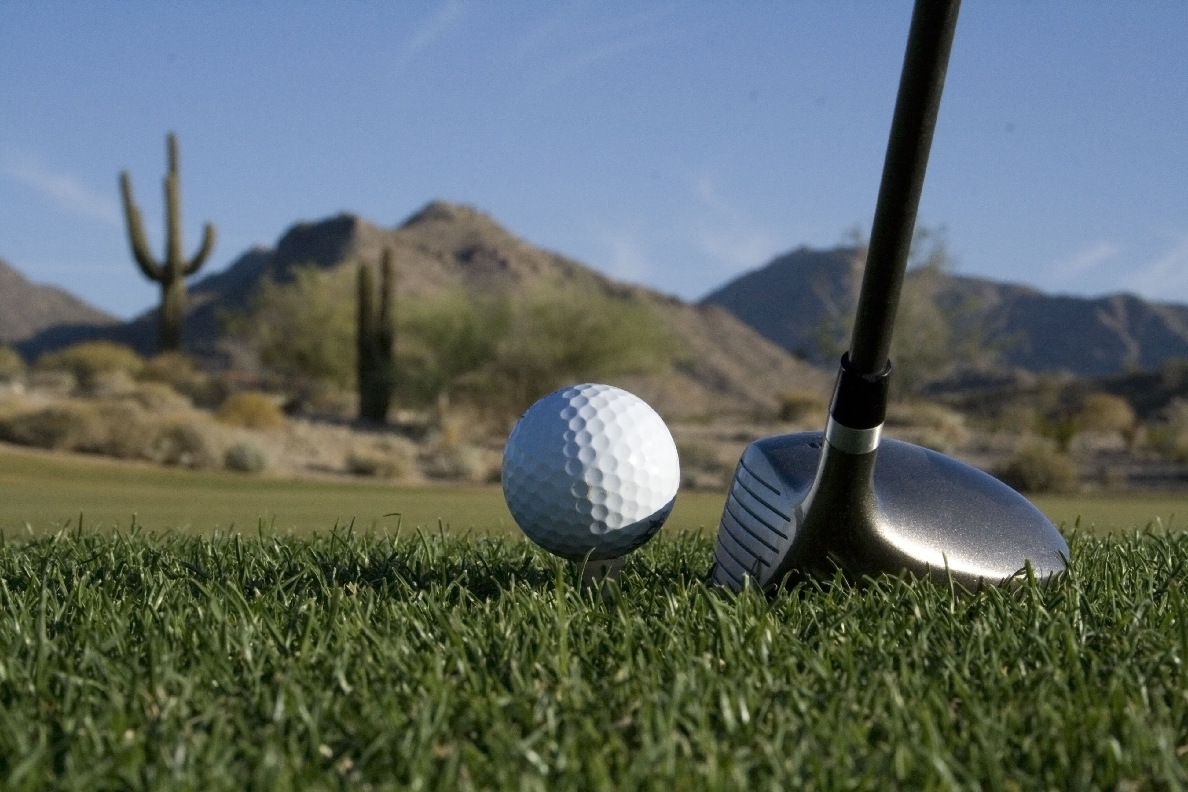 BEEZER GOLF Blog  6 Popular Golf Point Games and How to Play Them