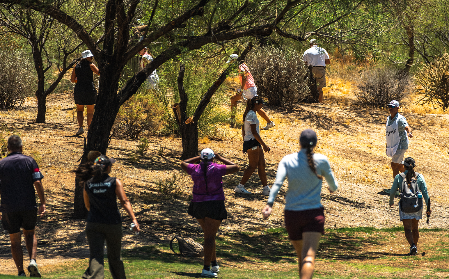 Lost Ball? Know the Rules Before You Search