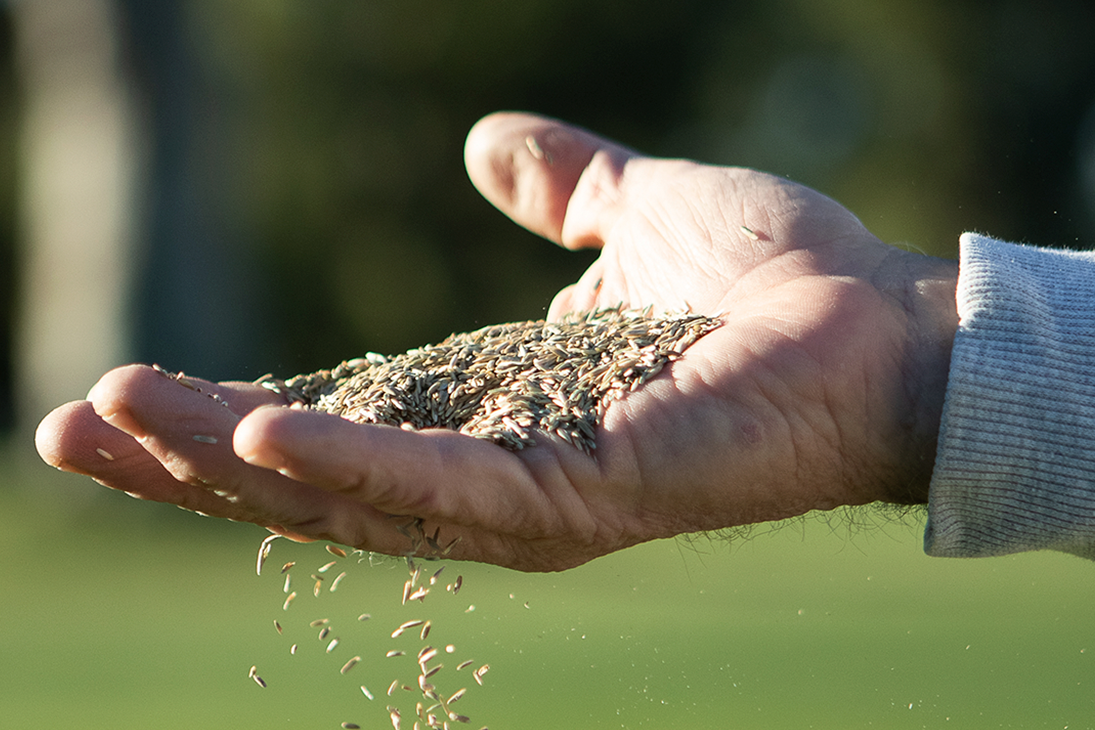 Overseed Triple Box